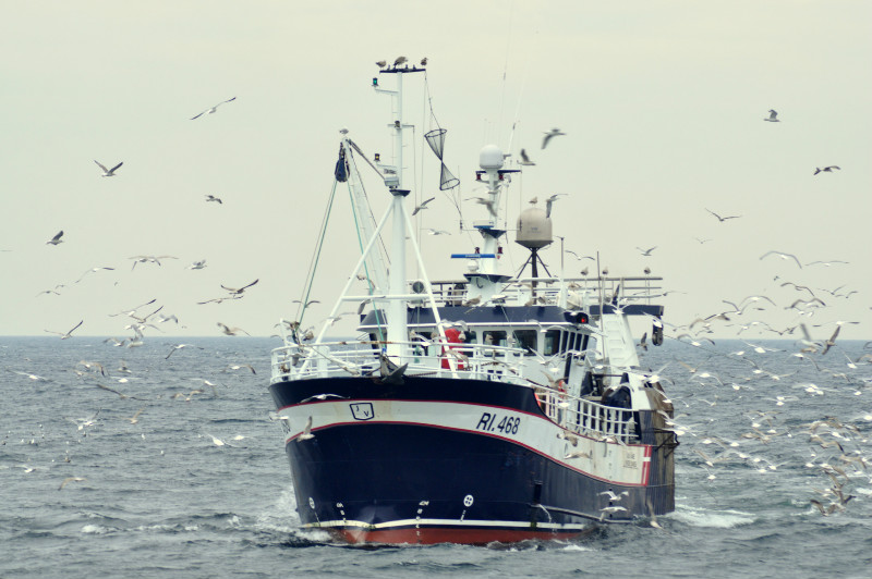 Read more about the article Dansk fiskeri lander for 3,5 mia. kroner – tæt på rekordår