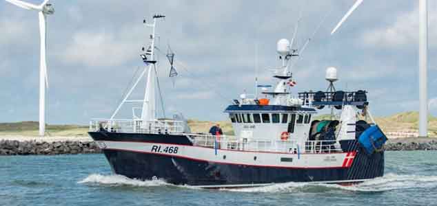 Read more about the article Fiskeriet vil tage ansvar – men ikke stå alene med skylden