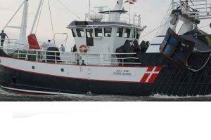 EU, Norge og Storbritannien indgår aftale, der både skal styrke torskebestanden og sikre fortsat fiskeri i Nordsøen og Skagerrak foto: Juli-ane - fb