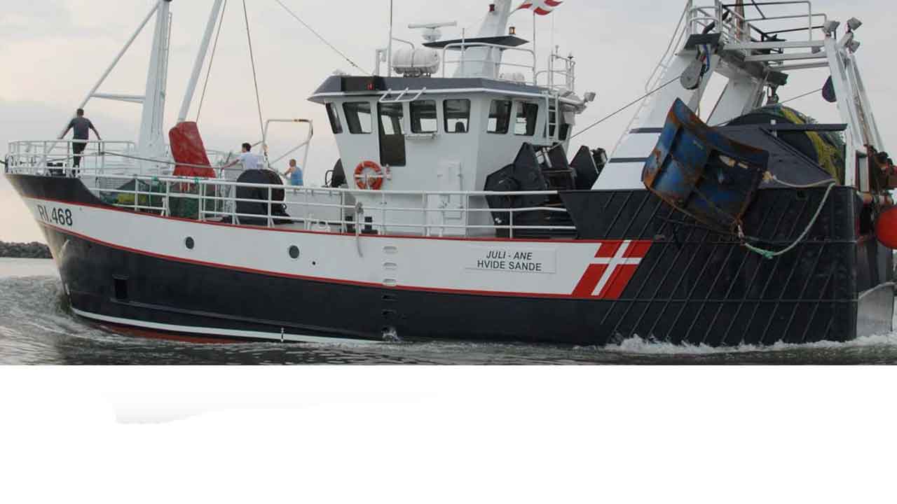 Read more about the article Torskekvoten skæres med 44 procent i 2026