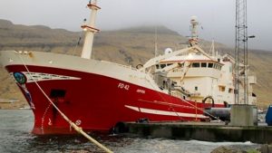 Det samme havde trawleren **Jupiter**, der i sidste uge landede 200 tons makrel til Vestmanna Seafood. foto: Jupiter - Kiran J
