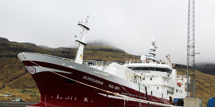 Færøerne: Industrifiskerne leverer til fiskemelsfabikken Havsbrún