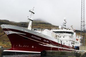 Færøerne: Industrifiskeriet efter blåhvilling