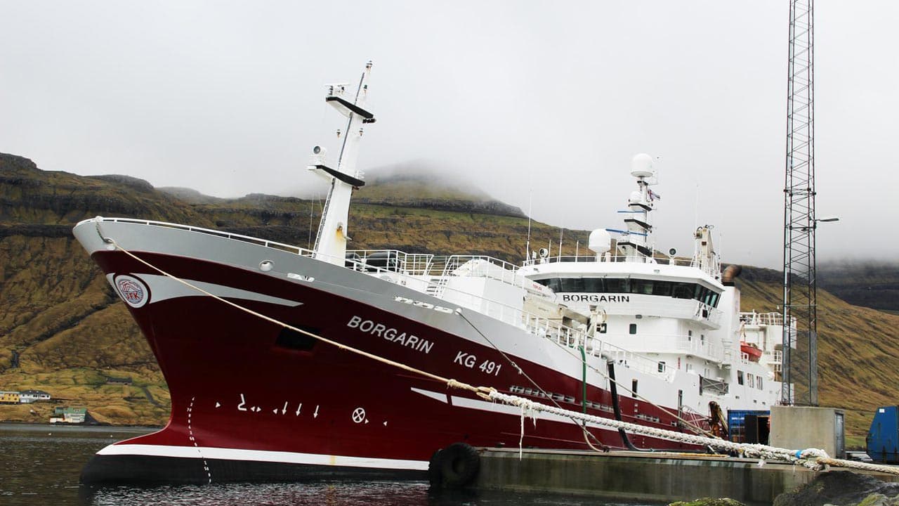 Read more about the article Færøerne: Industrifiskeriet efter blåhvilling