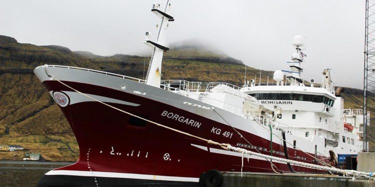 I Fuglefjord landede den 78 meter lange og 14 meter brede færøske trawler Borgarin en last på 1.100 tons blåhvilling til Havsbrún