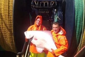 Kæmpe fladfisk fanget ved Ekofisk-feltet.  Foto: dagens kæmpefangst i trawlet på L 153 Malle af Thyborøn - TommyBach