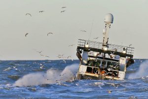 FiskerForumkalender 2023 - Foto PmrA