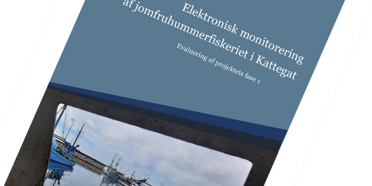 Elektronisk monitorering af jomfruhummerfiskeriet i Kattegat. fotoill.: Fiskeristyrelsen