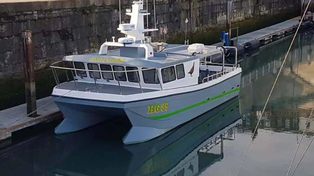 Read more about the article Cougar Cat har ramt Hirtshals