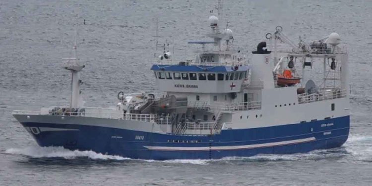 For Færøernes pelagiske sektor kommer anbefalingen på et følsomt tidspunkt. På havnene ses fortsat store landinger fra både færøske og udenlandske fartøjer: i den seneste opgørelse for uge 34, landede blandt andre grønlandske og færøske trawlere betydelige laster — **Katrin Jóhanna** (450 tons) foto: KJ