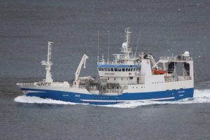 Trawleren »Katrin Jóhanna« kom ind med 1.700 tons blåhvilling, tilsvarende landet til Havsbrún. foto: Kiran J