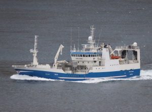 Trawleren »Katrin Jóhanna« kom ind med 1.700 tons blåhvilling, tilsvarende landet til Havsbrún. foto: Kiran J