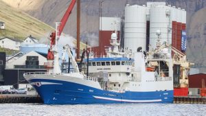 I Fuglefjord landede Katrin Jóhanna i sidste uge en last på 1.600 tons blåhvilling til Havsbrún, som de har fisket ud for Færøerne. De har haft et godt fiskeri på turen, og der er da også at finde igen på fiskefeltet efter endnu flere blåvhilling. foto: Kiran J