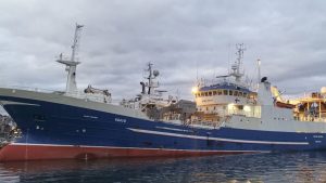 I Fuglefjord landede den færøske trawler Katrin Jóhanna 600 tons sild, som de har fisket ved Færøerne. foto sverri egholm