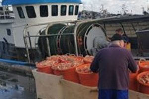 trawlforbud i Kattegat foto: CSH