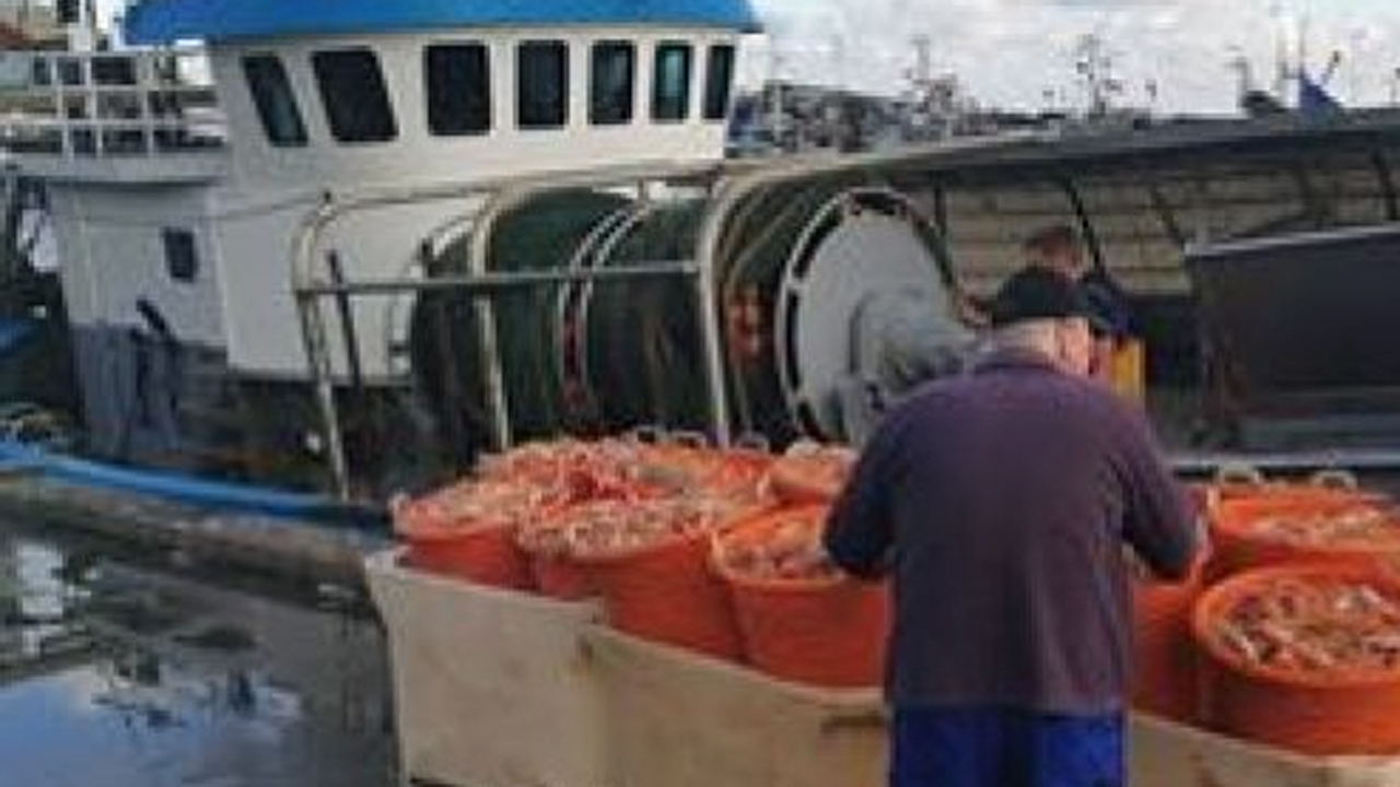 Read more about the article SFs »geniale« miljøidè: Stop trawlfiskeriet i Kattegat !!