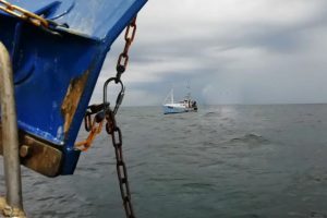 Fiskerne i Gilleleje Frygter for deres Erhverv