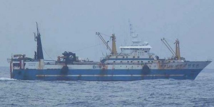 Nyt fra Færøerne uge 34.  Den kinesiske frysetrawler Kay Yu lander sin modtagelast på Sund.  Foto: Kay Yu - Skipini - FiskerForum