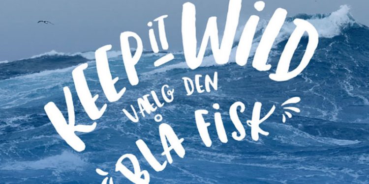 Dansk fiskeri er blandt de mest ambitiøse i verden