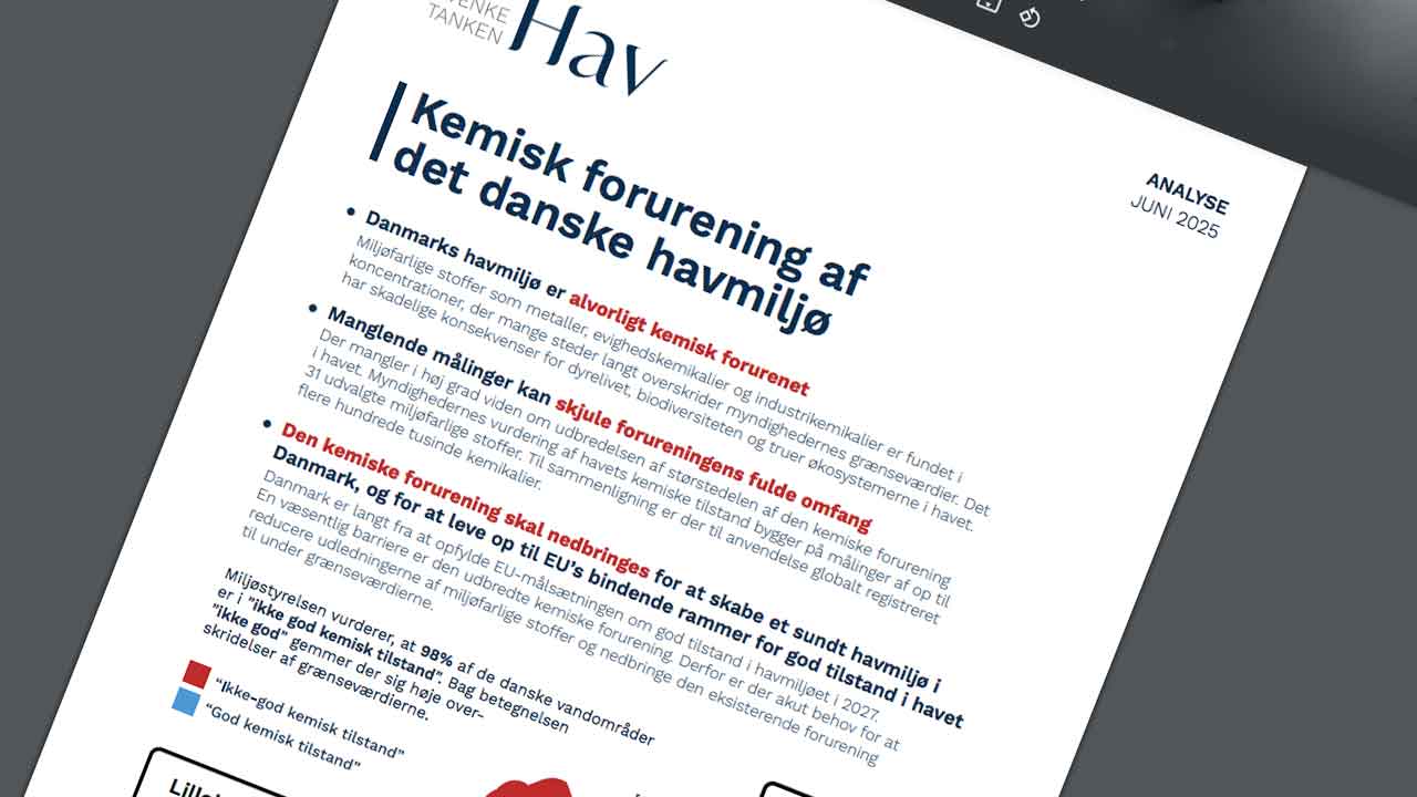 Read more about the article Kemikaliecocktail i havet – fiskernes advarsler viser sig at være velbegrundede
