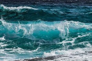 Ny analyse fra Tænketanken Hav viser massiv kemikalieforurening i danske kystvande. Miljøorganisationer og Miljøministeriet kritiseres for manglende fokus på spildevand, mens fiskere føler sig bekræftet i årelange advarsler. foto: FiskerForum.dk