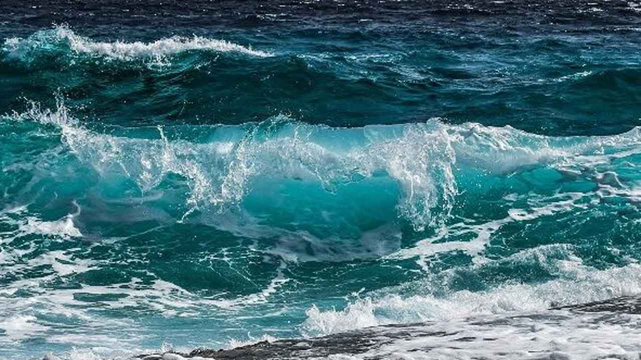 Read more about the article Miljøsvigt: Analyse afslører katastrofal kemisk forurening af dansk havmiljø