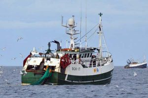 ICES’s kvoteanbefaling for Nordsøen, rammer både danske og skotske fiskere hårdt - foto: KevM - FiskerForum.dk