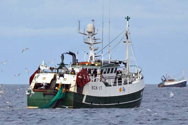 Read more about the article ICES’s kvoteanbefaling for Nordsøen, rammer både danske og skotske fiskere hårdt