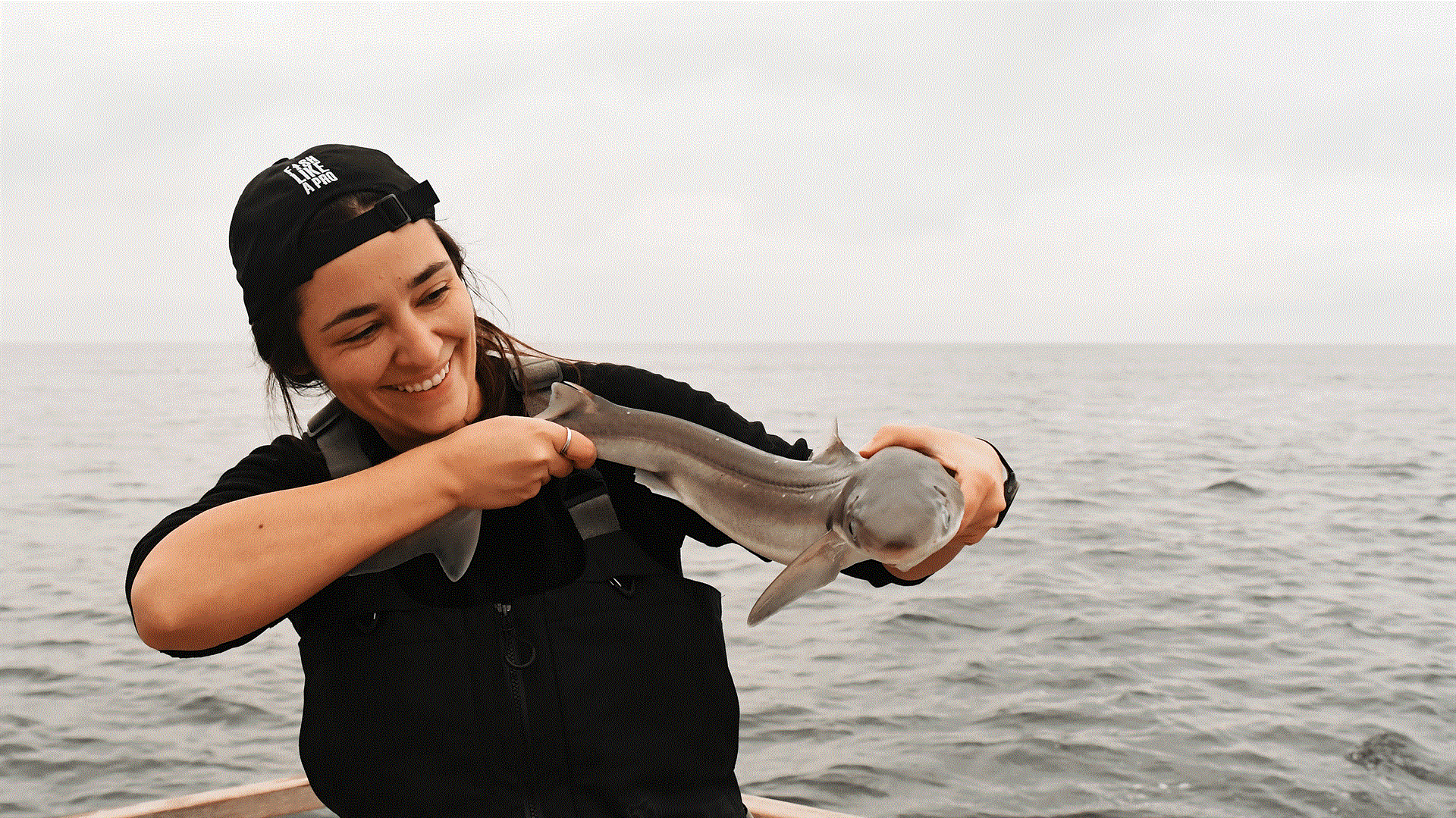 Read more about the article Europæisk forskningsnetværk når historisk milepæl: Én milliard registreringer af havdyr