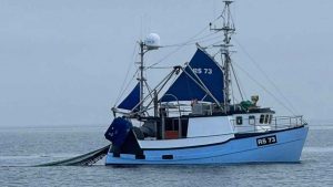 Foreningen »Levende Hav« har gennem mange år været kritisk over for bundtrawlfiskeriet, da de mener, det ofte skader havmiljøet og ødelægger havbunden samt biodiversiteten i de områder, hvor det praktiseres. Foreningen mener, at visse former for bundtrawl – især bomtrawl – er særligt problematisk. foto: RS 73 Annika Bønnerup strand