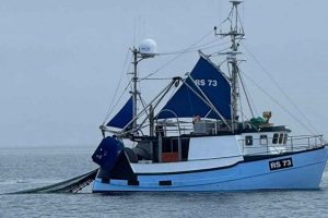 Foreningen »Levende Hav« har gennem mange år været kritisk over for bundtrawlfiskeriet, da de mener, det ofte skader havmiljøet og ødelægger havbunden samt biodiversiteten i de områder, hvor det praktiseres. Foreningen mener, at visse former for bundtrawl – især bomtrawl – er særligt problematisk. foto: RS 73 Annika Bønnerup strand