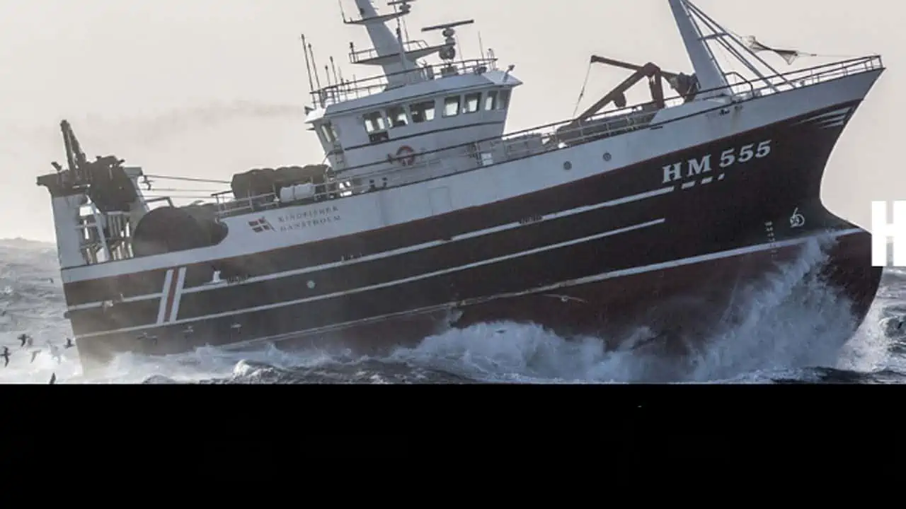 Read more about the article Prehn er i Hanstholm, hvor fiskerne også slås med afgifter og stigende omkostninger samt kvotenedskæringer