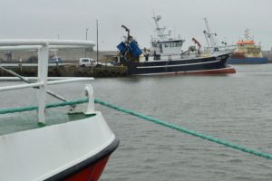 Vendelbo´s Kirstine er kommet godt fra start med brislinge-sæsonen.  Foto: Kirstine Vendelbo ligger ved Vodbinderkajen i Hvide Sande