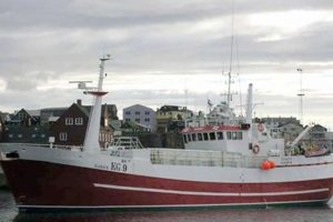 Nyt fra Færøerne uge 5.   Foto: Lineskibet klakkur lander sammen med Eivind og Kambur fangster fra Flemish Cap i St. Pierre - Skipini