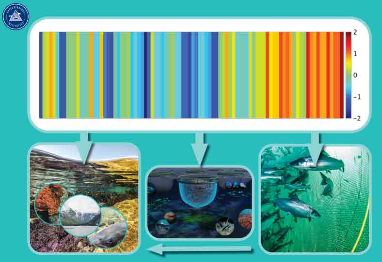 klimaændringer - Hi.no