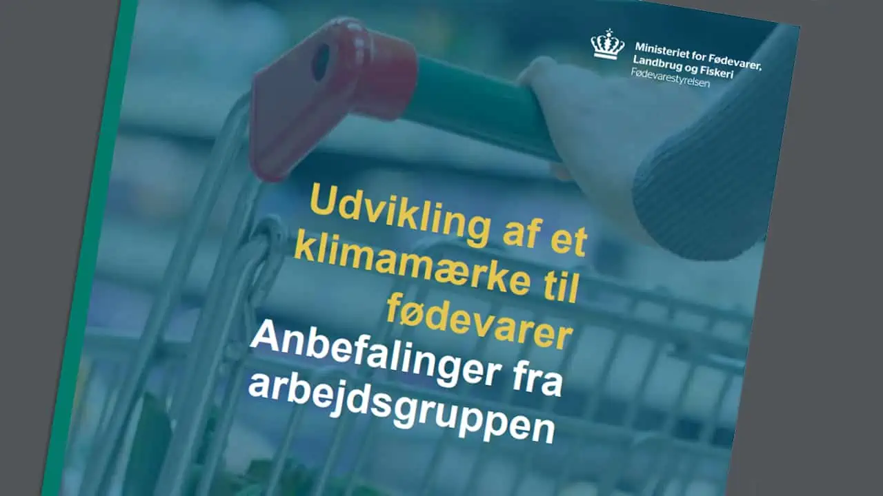 Read more about the article Fødevareminister modtager anbefalinger til det kommende klimamærke på fødevarer