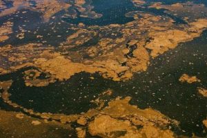 Regeringen vil indføre flowmålere og en spildevandsafgift, men mange fiskere og landmand Knud Jeppesen advarer om, at forureningen fortsætter, hvis ikke alle overløbssteder bliver målt og kontrolleret. foto: FiskerForum.dk