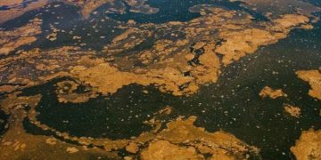 Regeringen vil indføre flowmålere og en spildevandsafgift, men mange fiskere og landmand Knud Jeppesen advarer om, at forureningen fortsætter, hvis ikke alle overløbssteder bliver målt og kontrolleret. foto: FiskerForum.dk