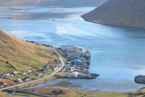 Der er landet pæne sildefangster til sildeindustrierne Faroe Pelagic og Pelagos samt Vardin Pelagic