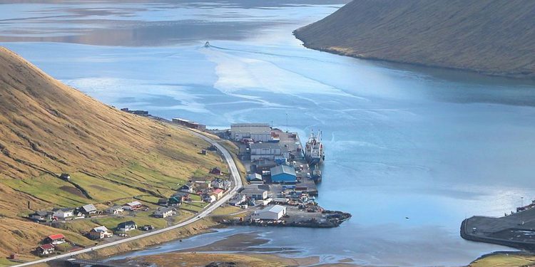 Der er landet pæne sildefangster til sildeindustrierne Faroe Pelagic og Pelagos samt Vardin Pelagic