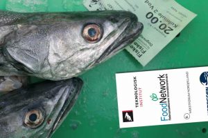 Fiskeindustrien inviteres til konference