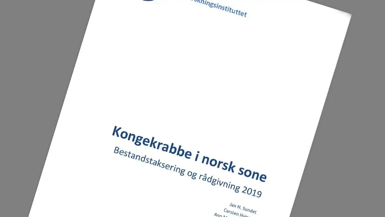 Read more about the article Øget norsk kvote-råd for kongekrabber i 2020