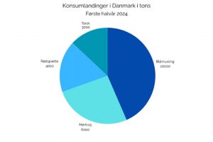 Listen over de mest fangede spisefisk og skaldyr inkluderer blandt andet rødspætte og blåmusling. Illustration: Fiskeristyrelsen