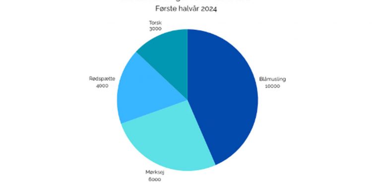 Listen over de mest fangede spisefisk og skaldyr inkluderer blandt andet rødspætte og blåmusling. Illustration: Fiskeristyrelsen