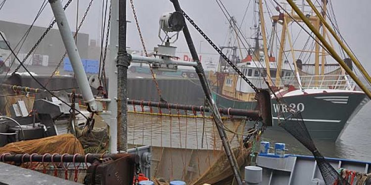 Udenlandske fartøjer i dansk havn - Arkivfoto: Fiskerforum