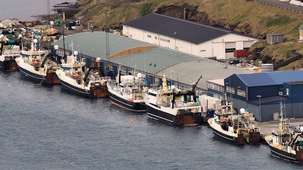 Read more about the article Færøerne: Kuller forarbejdes på Kósin Seafood i Klaksvík