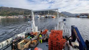 Forskerne på det norske Havforskningsinstitut behøvede ikke sejle langt for at undersøge lokale bestande af krabber og jomfruhummere ved Vestlandet. - Hi.no