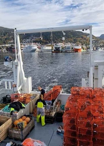 Forskerne på det norske Havforskningsinstitut behøvede ikke sejle langt for at undersøge lokale bestande af krabber og jomfruhummere ved Vestlandet. - Hi.no