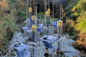 En ny rapport fra DCE giver et langt mere præcist billede af, hvor kvælstof fanges i søer, vandløb og vådområder, inden det når havet. For fiskeriet og havmiljøet betyder det mindre risiko for iltsvind, bedre vilkår for fiskebestandene og et stærkere grundlag for målrettede indsatser i de hårdest ramte områder. foto: DCE