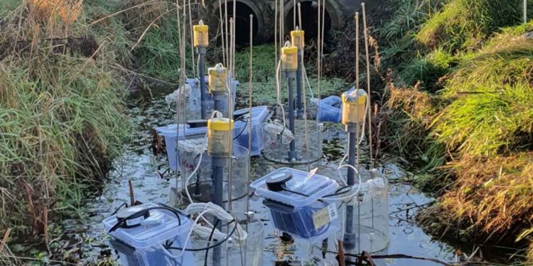 En ny rapport fra DCE giver et langt mere præcist billede af, hvor kvælstof fanges i søer, vandløb og vådområder, inden det når havet. For fiskeriet og havmiljøet betyder det mindre risiko for iltsvind, bedre vilkår for fiskebestandene og et stærkere grundlag for målrettede indsatser i de hårdest ramte områder. foto: DCE